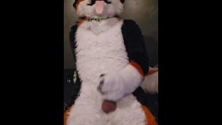 Elastrator Play with @AngryBarks Good Boys Get Neutered!
