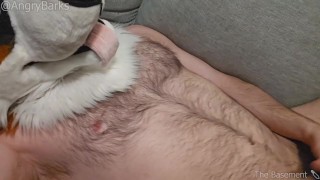 Furry Eunuch @AngryBarks gets hard rubbing his empty sack,shoots infertile cum💦 Good Neutered Puppy