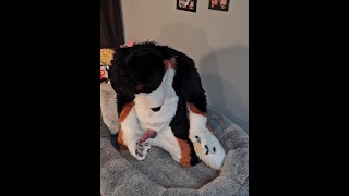 @AngryBarks from the Vet’s office teaches your how to milk your puppy boyfriend 👨‍🔬💦